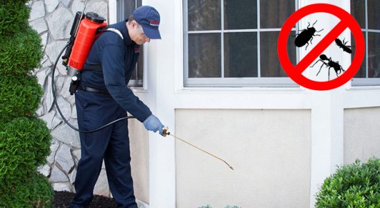 Anamur Böcek İlaçlama böcek ilaçlama ve haşere kontrolü — ilaclama-tr.com